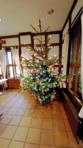 Weihnachtsfeier-2025_3